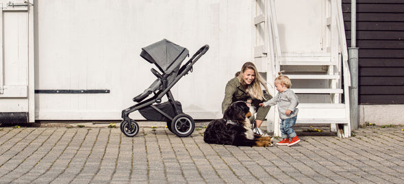 Thule Sleek