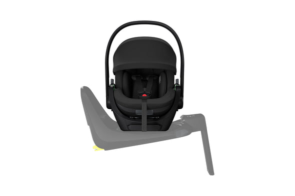 Thule Maple