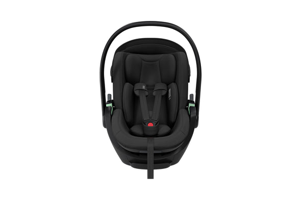 Thule Maple