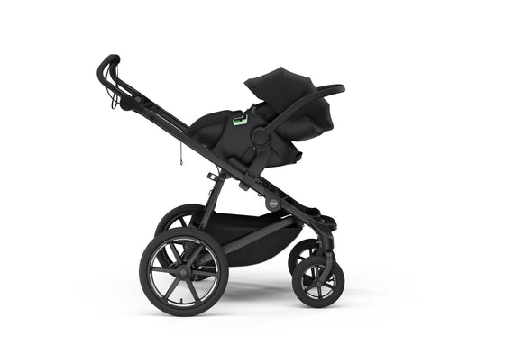 Thule Maple