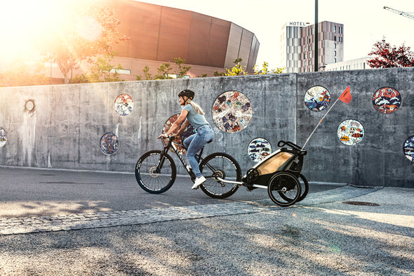 Thule Chariot Lite | Agave Green