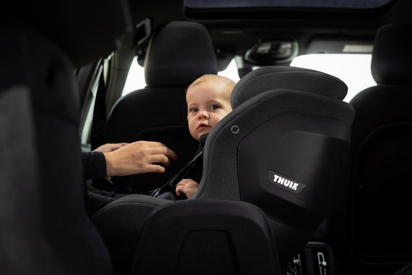 Thule Elm