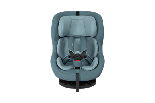 Thule Elm