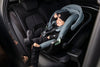 Thule Maple