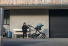 Thule Maple